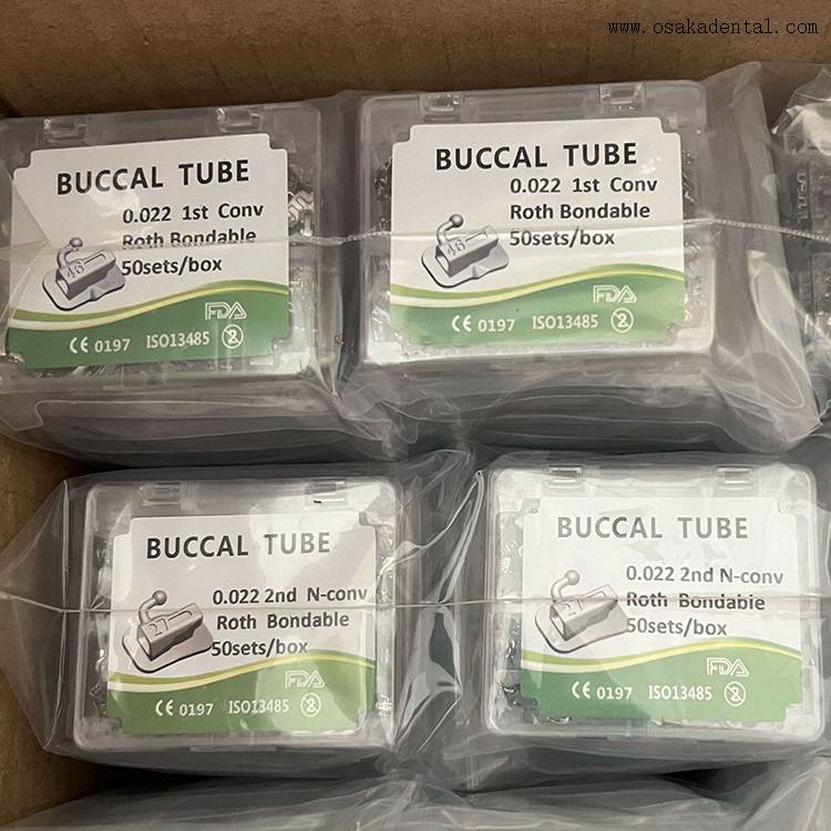 buccal tube الأنبوب الشدق