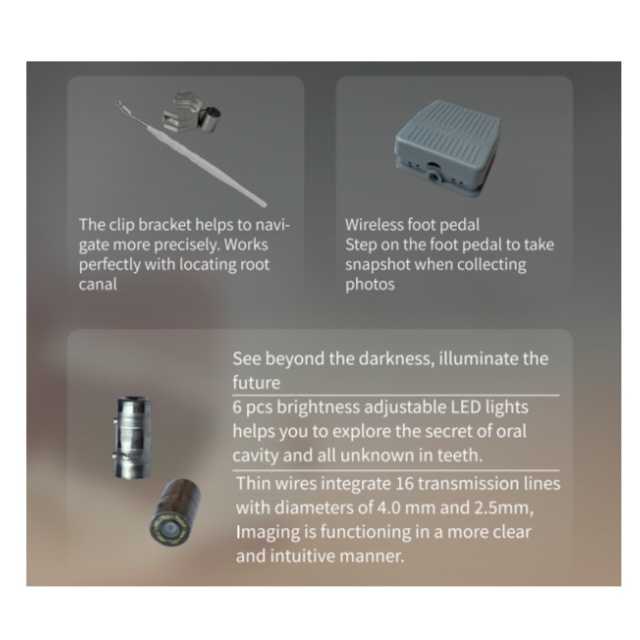 كاميرا الفم الدقيقة للأسنان.