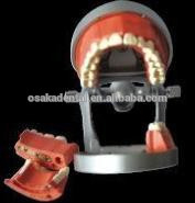 OSAKA DENTAL التدريس نموذج فانتام الولايات المتحدة الأمريكية