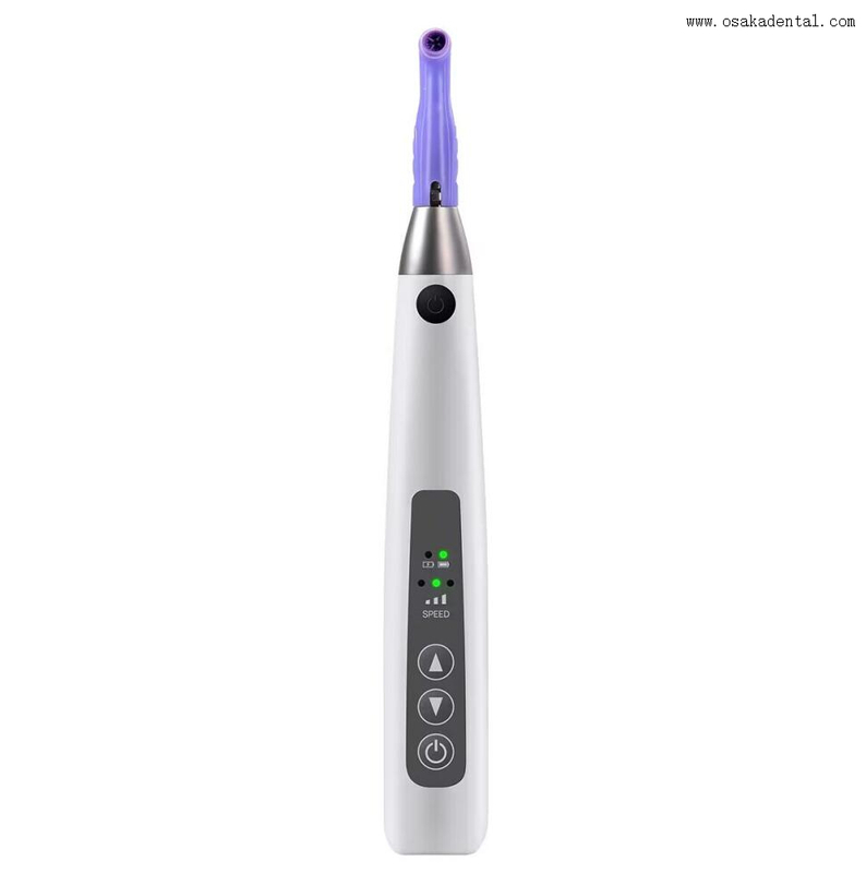 قبضة Prophy قابلة لإعادة الشحن مع نصائح