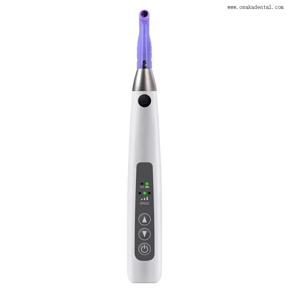 قبضة Prophy قابلة لإعادة الشحن مع نصائح