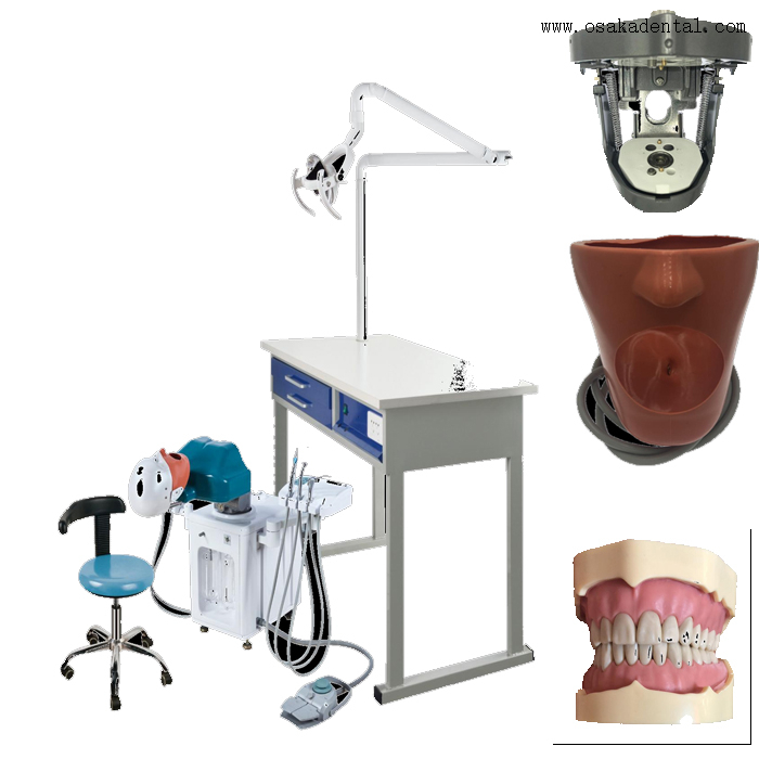 محاكاة كهربائية للأسنان لطالب واحد وأربعة أيدي