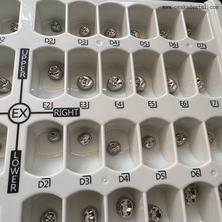 تاج أطفال من الفولاذ المقاوم للصدأ للأسنان 48 قطعة/صندوق