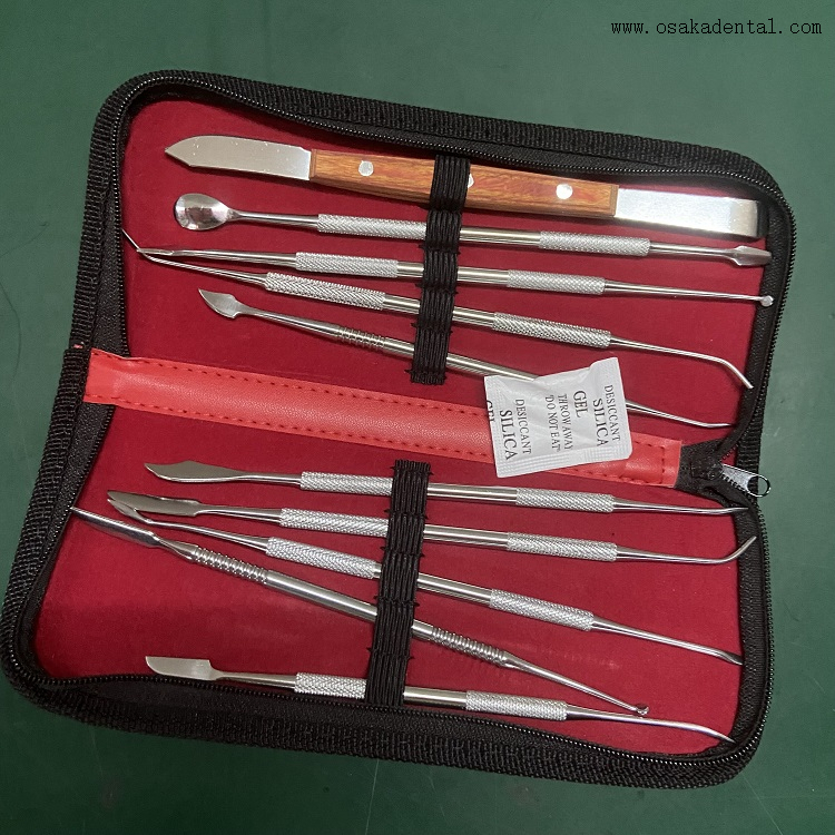 مجموعات أدوات الأسنان 10pcs/set OSA-L107- 10