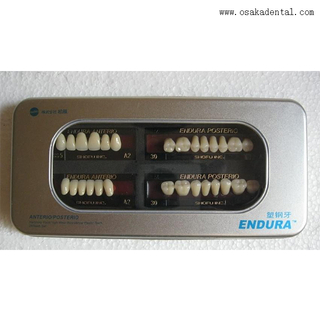 الأسنان PVC - الصلب الراتنج الأسنان OSA-A TETETH1