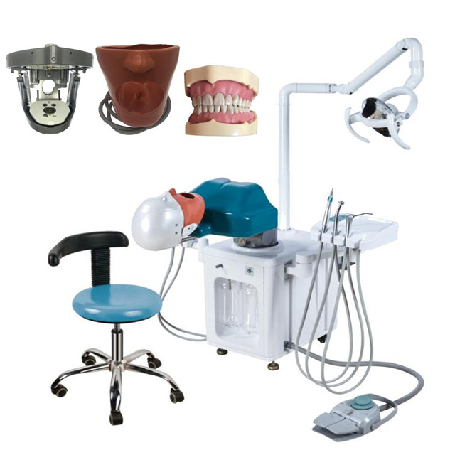 محاكاة الأسنان الكهربائية المتحركة لطالب واحد