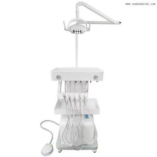 حل واحد وقفة واحدة عالية الجودة المعدات الطبية البيطرية المحمولة وحدة علاج الأسنان الفاخرة للحيوانات الأليفة