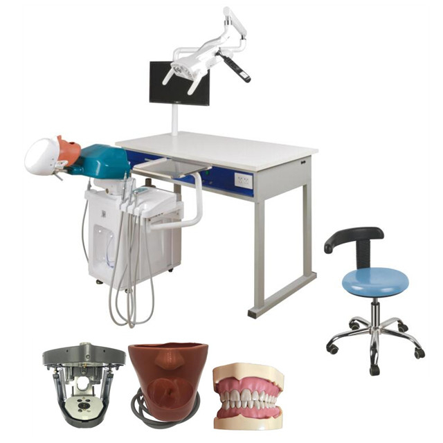 محاكاة كهربائية للأسنان لمعلم واحد مع درجين