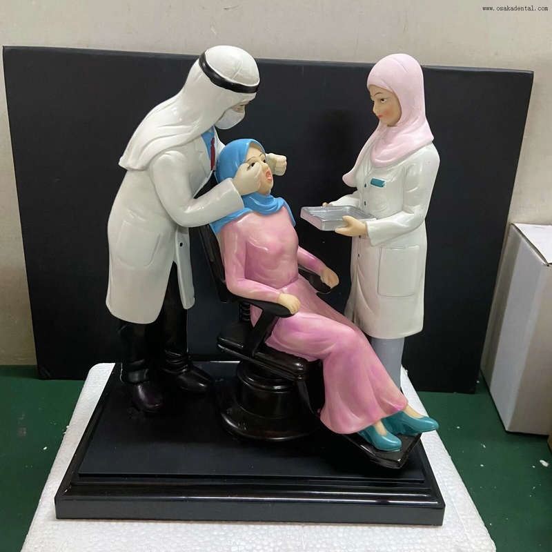 نموذج طب الأسنان الدقيق مع مادة الراتنج شكل نموذج طبيب الأسنان لتزيين عيادة الأسنان