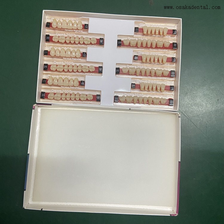 هيراوس لطب الأسنان 2000 أسنان راتنجية