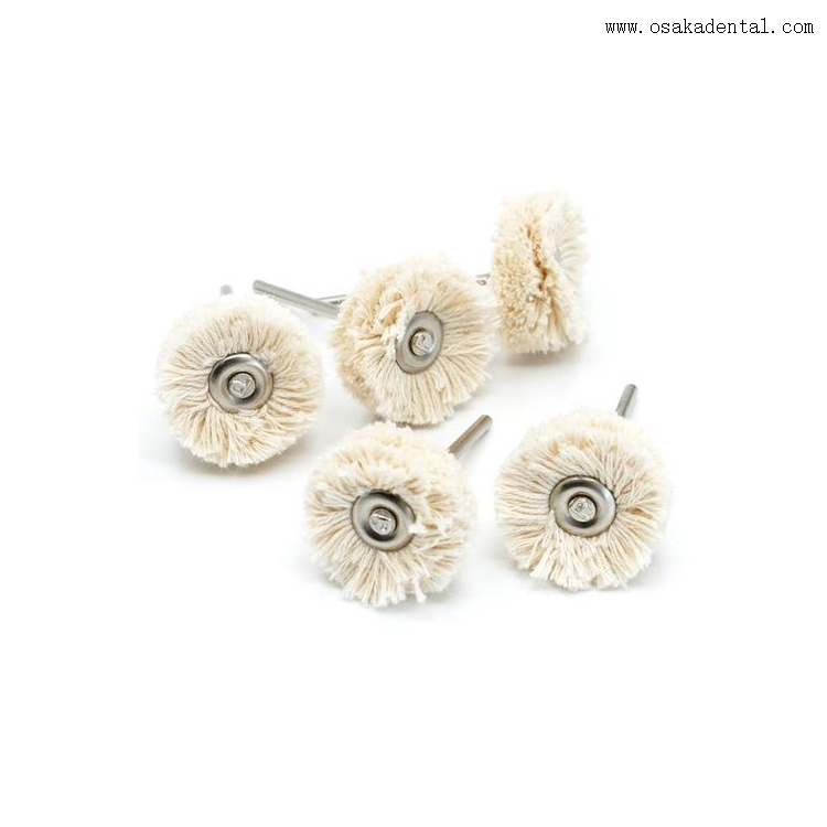 فرش تلميع الأسنان الصغيرة بمقبض