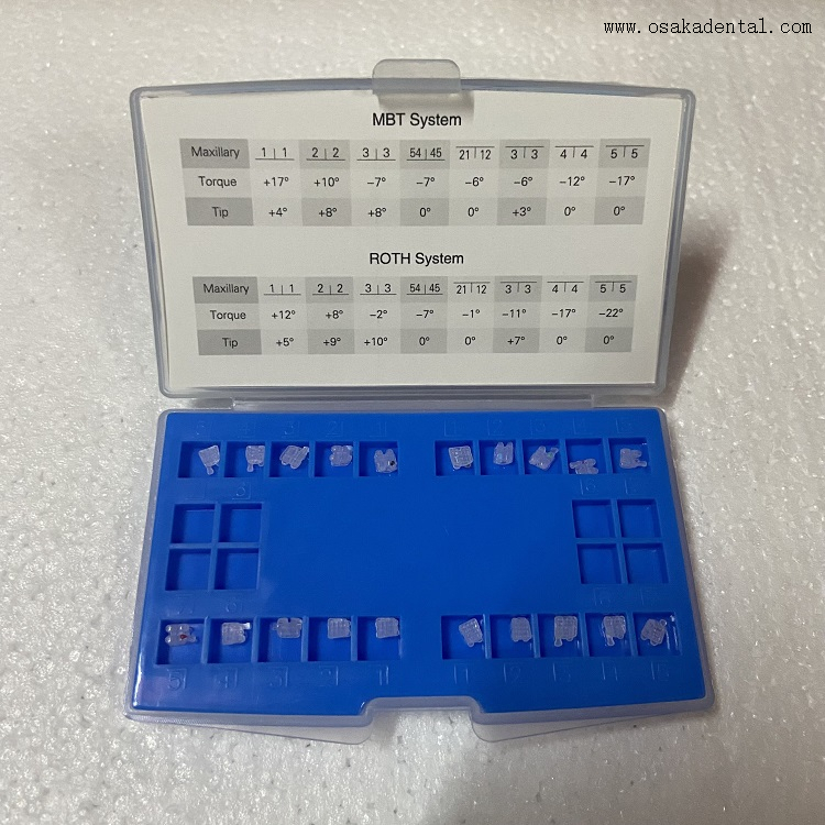مجموعة قوة سلسلة ربط الأربطة Niti Archwire Molar Bands أنبوب الشدق تقويم الأسنان بين قوسين