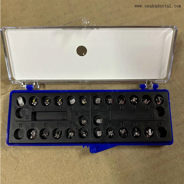 مجموعة قوة سلسلة ربط الأربطة Niti Archwire Molar Bands أنبوب الشدق تقويم الأسنان بين قوسين