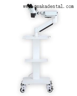 ذراع قصيرة للأسنان بدون مجهر كاميرا