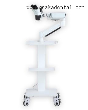 ذراع قصيرة للأسنان بدون مجهر كاميرا