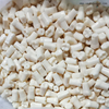 الأسنان مع المسمار لدراسة العفن OSA-Teeth-N