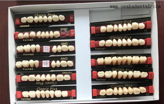 الجودة الأوروبية الأسنان راتنج الأسنان الأسنان عودة الأسنان OSA-TEETH-EU