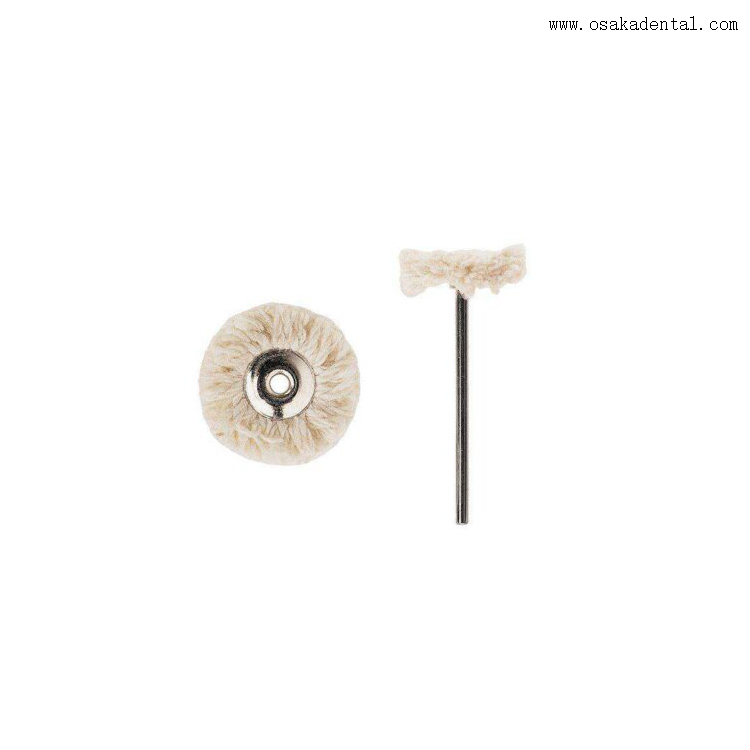 فرش تلميع الأسنان الصغيرة بمقبض