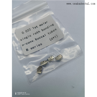 أنبوب الشدق التقويمي للأسنان مع رقم