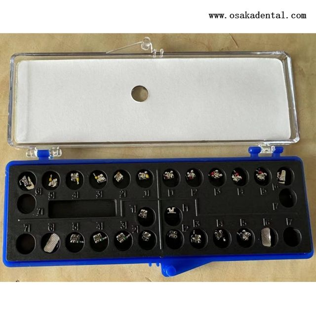 دعامة قاعدة شبكية صغيرة مع أنبوب شدق قابل للربط