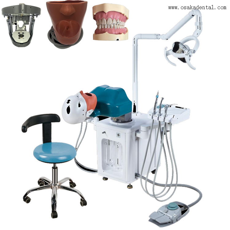 محاكاة كهربائية للأسنان لطالب واحد وأربعة أيدي بدون مكتب