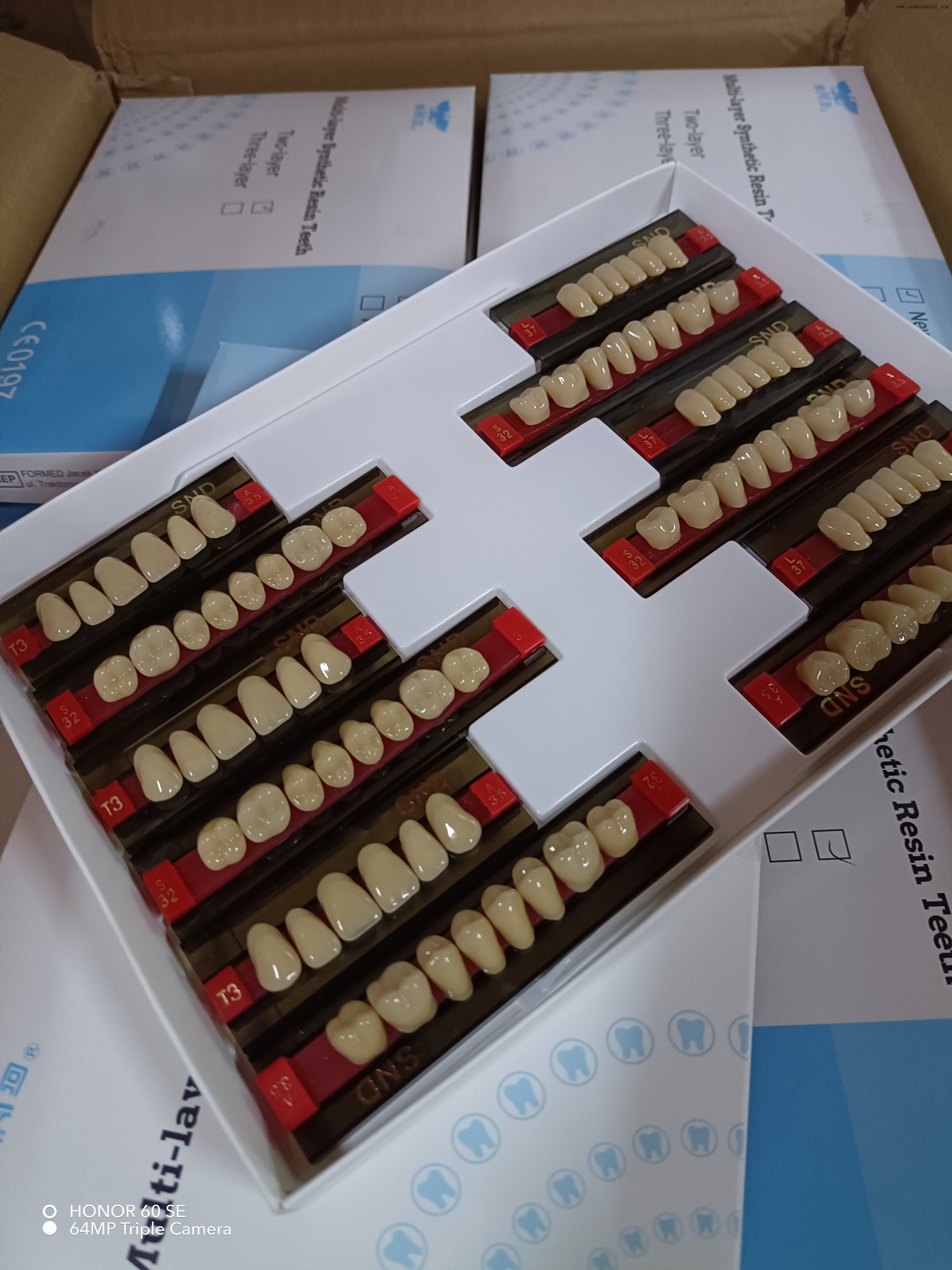 أسنان راتينج ثنائية اللون عالية الجودة لأطقم أسنان ذات مظهر طبيعي