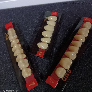 أسنان راتينج ثنائية اللون عالية الجودة لأطقم أسنان ذات مظهر طبيعي