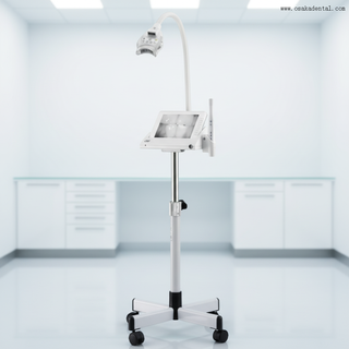 ماكينة تبييض الأسنان LED الاحترافية مع شدة الضوء البارد القابلة للتعديل وإزالة البقع السريعة والعناية بالفم الآمنة