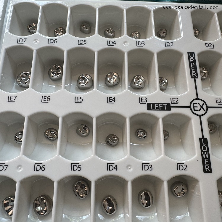 تاج أطفال من الفولاذ المقاوم للصدأ للأسنان 48 قطعة/صندوق