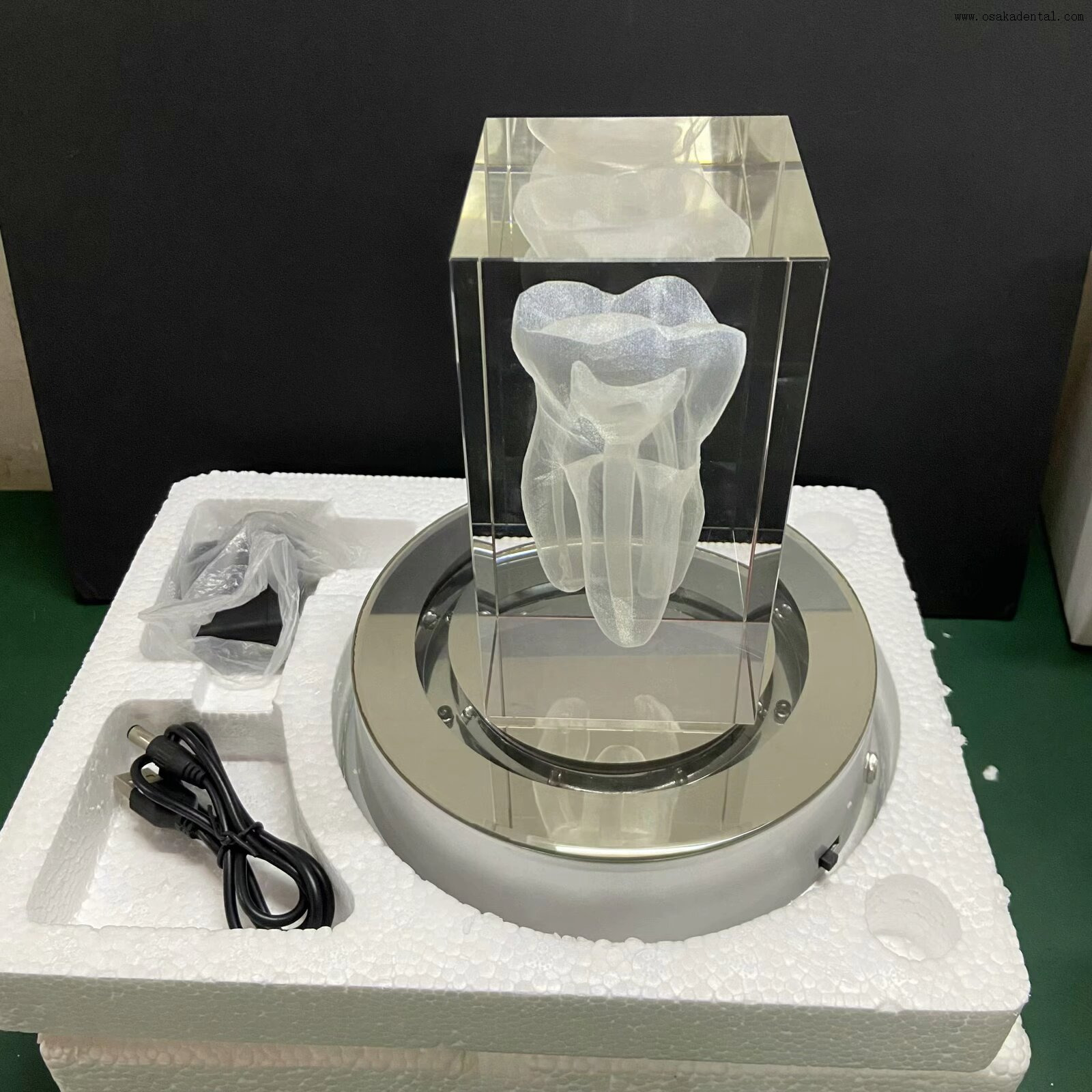 شكل أسنان الأسنان لتزيين عيادة الأسنان