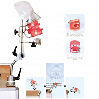تمثال بسيط للأسنان مزود بتصريف للمياه