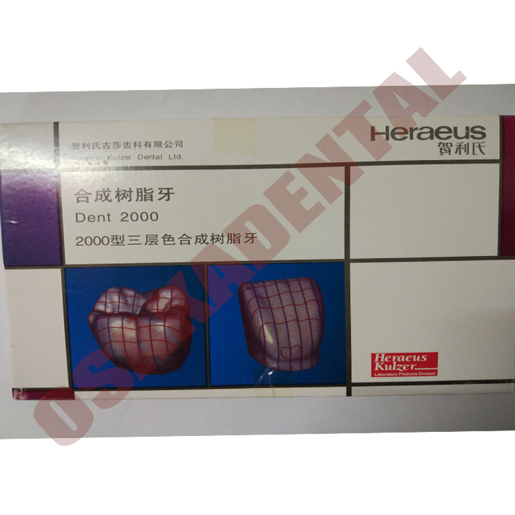 طقم أسنان من البورسلين الأكريليك مع دبوس سبيكة مجموعة كاملة 3 مجموعات