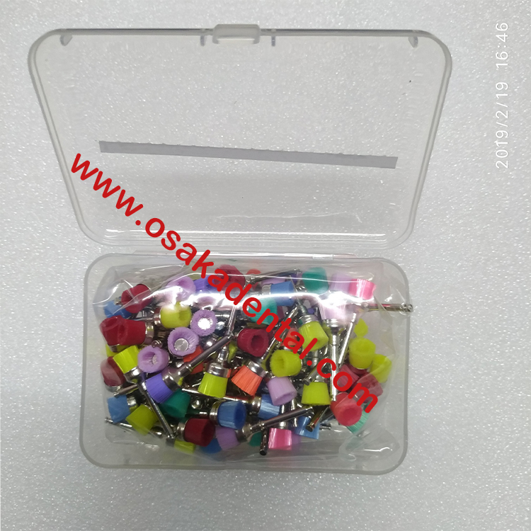فرشاة الأسنان الملونة Prophy PB-380-C