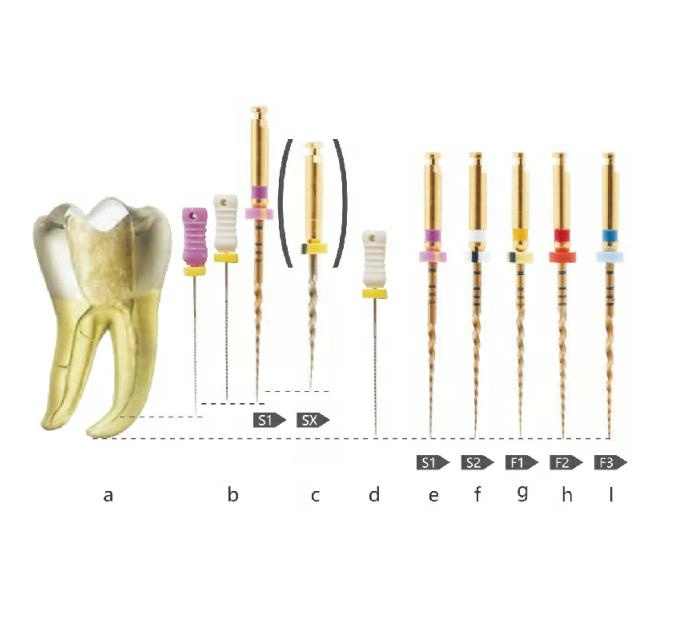 Niti Proter Golden Heat Activation ملف الأسنان