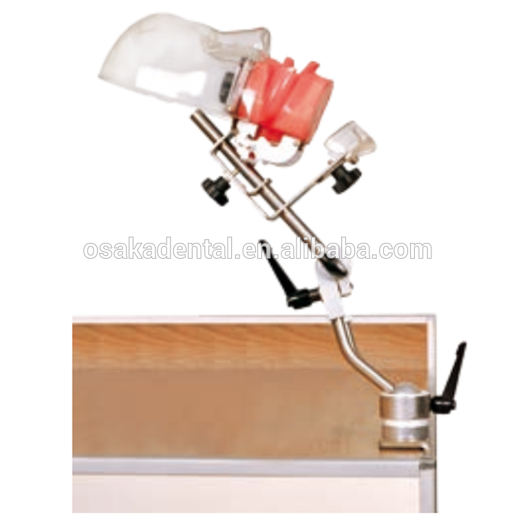 قزم بسيط للأسنان مع تصريف المياه