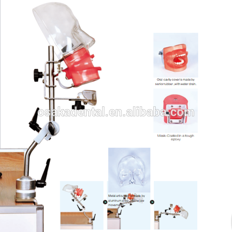 قزم بسيط للأسنان مع تصريف المياه