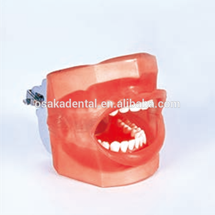 قزم بسيط للأسنان مع تصريف المياه